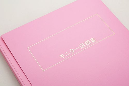 フラットファイル制作事例 ケースファイル製薬会社向け 3